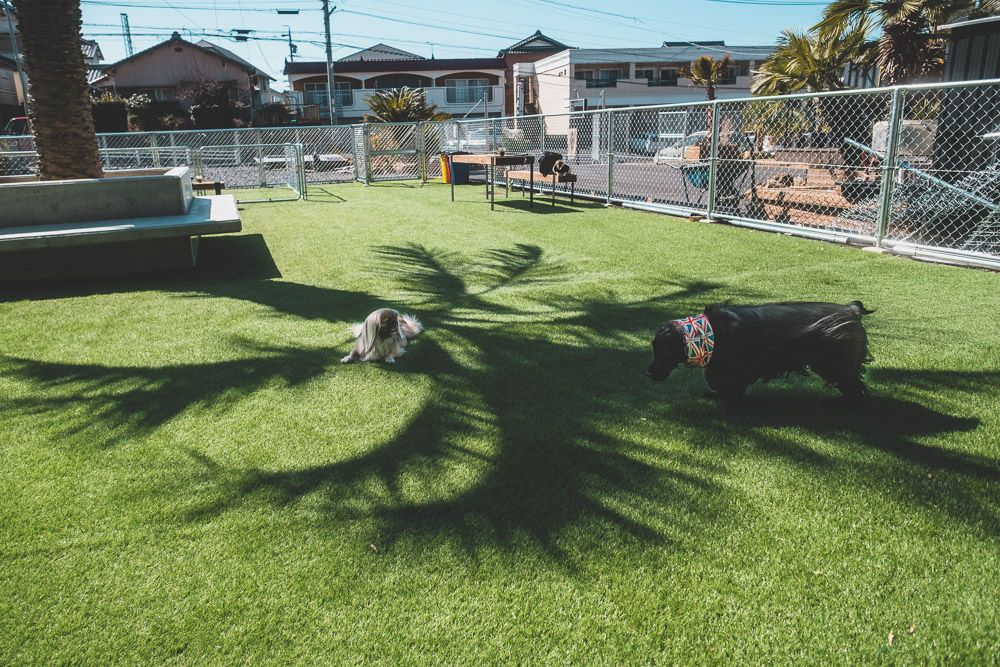 〇〇 Dogrun&cafe18