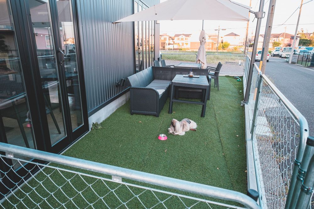 ダールフルット9