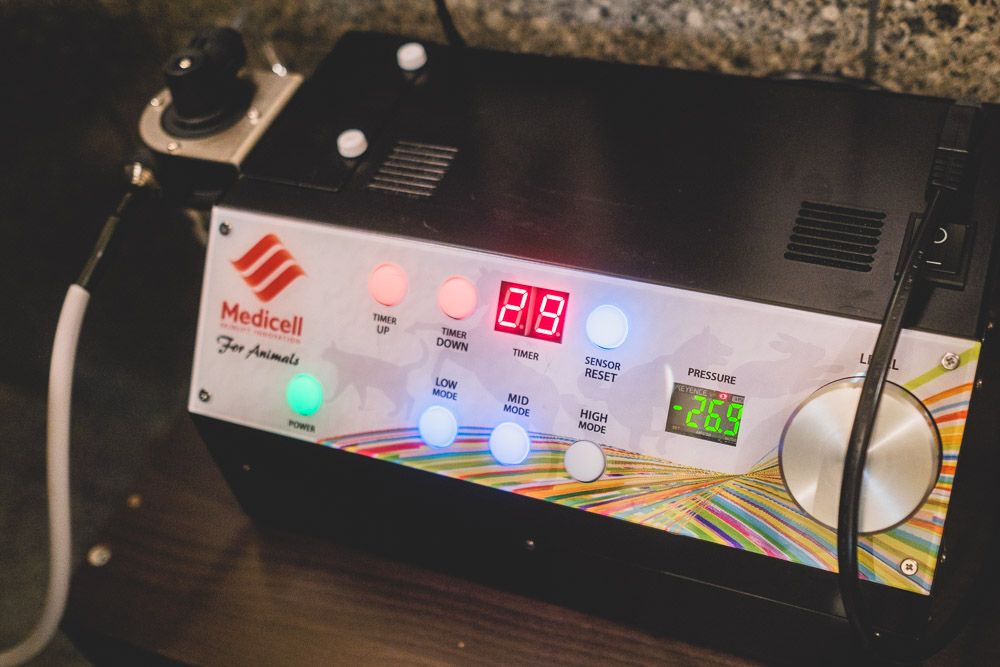 ペットケアサロン SILK8