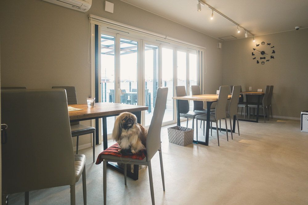 ドッグカフェ Dag8