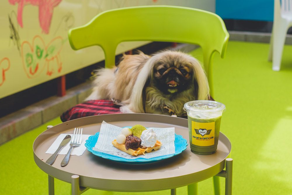 ポップアートギャラリー17