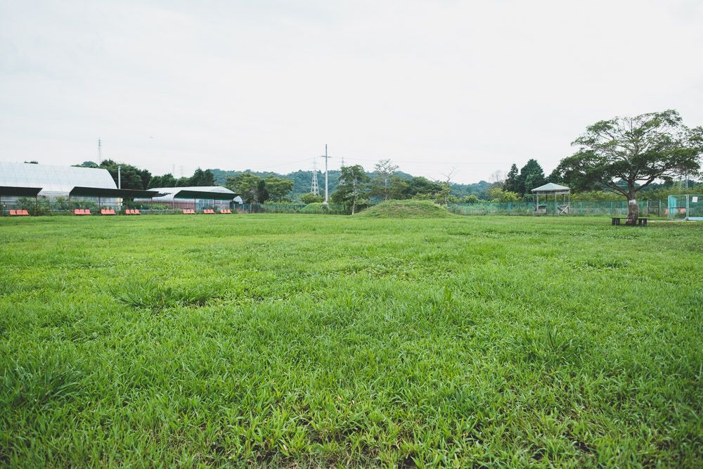 多度グリーンファーム40