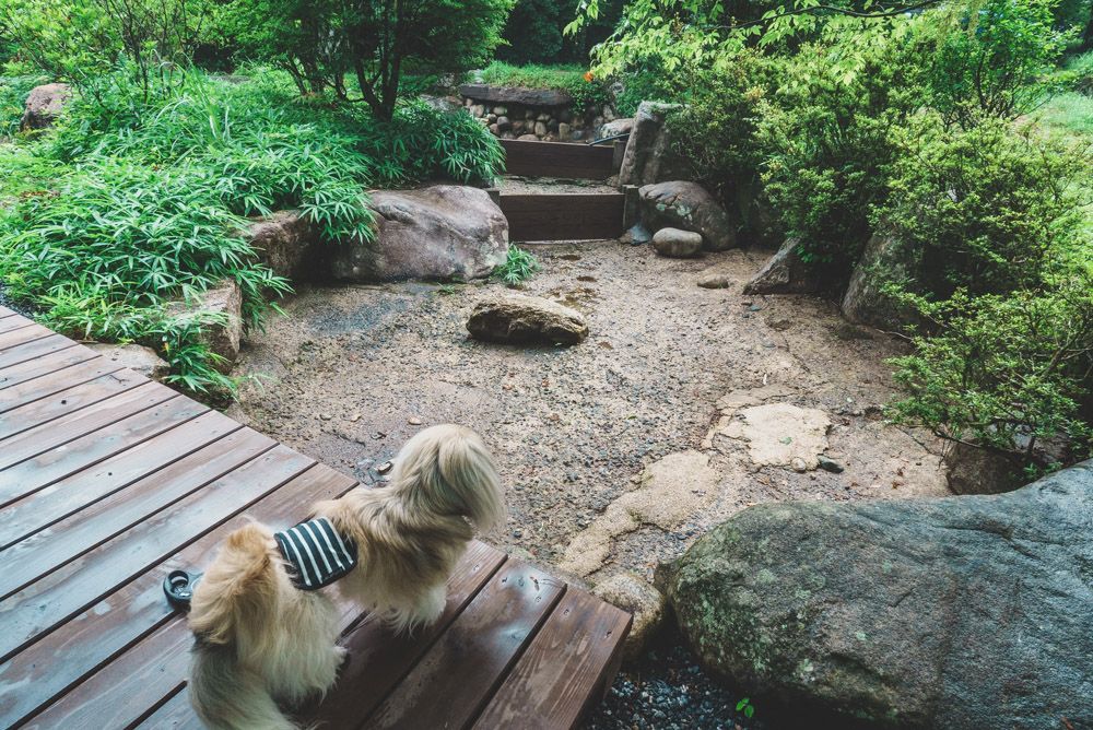 シタラヴィレッジ37