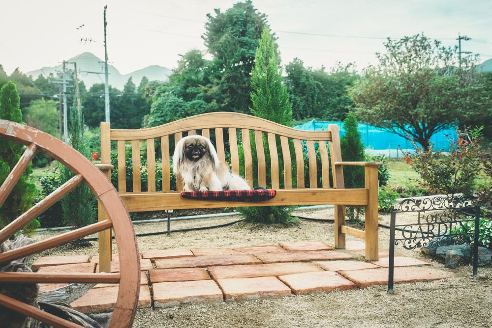 フォレストガーデン菰野31