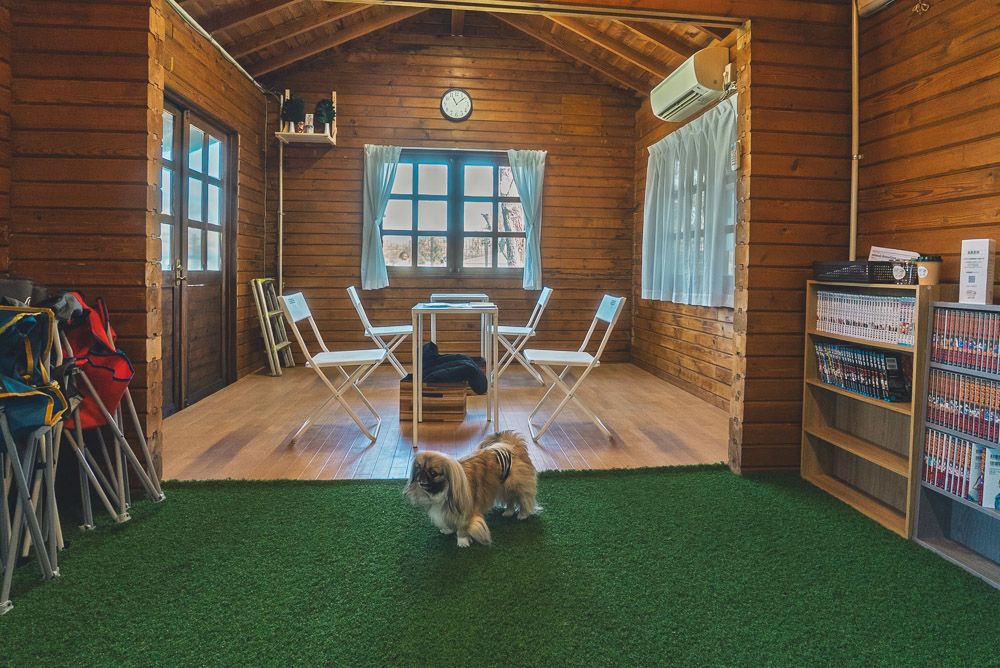 シバンチュ ドッグラン6