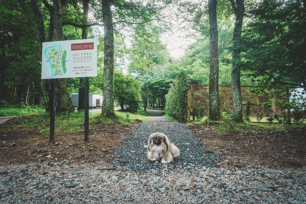 シタラヴィレッジ3