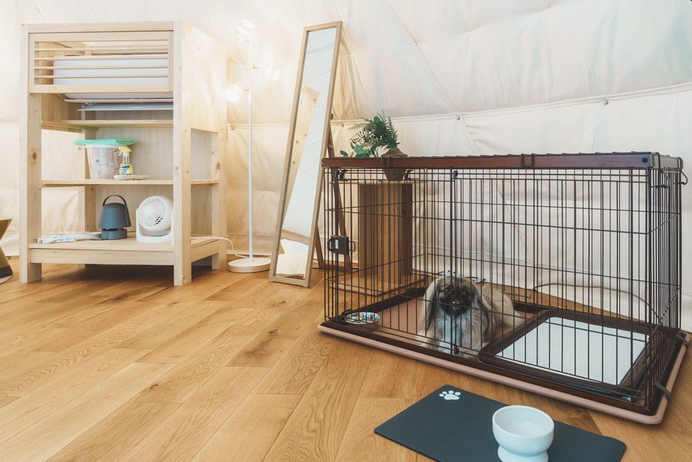 シタラヴィレッジ15