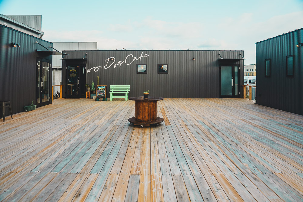 DogCafeレガーレ6