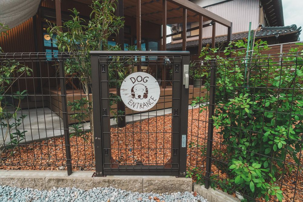 ドゥトゥクール6