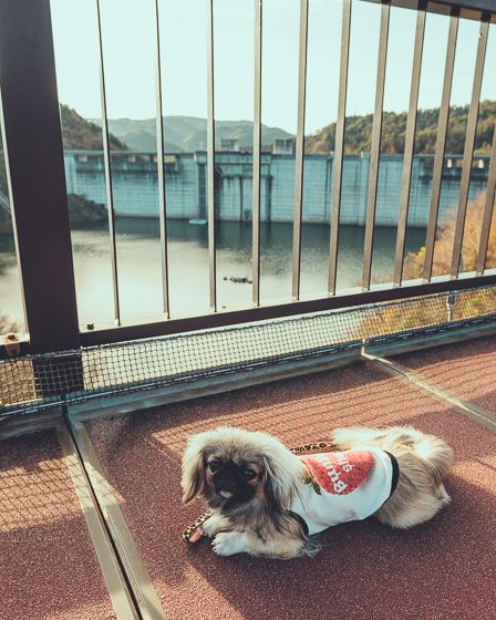 道の駅 おばあちゃん市・山岡6