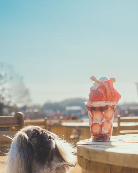 すまいるベリーズ長久手11