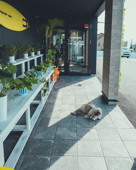 魔法のパンケーキ18