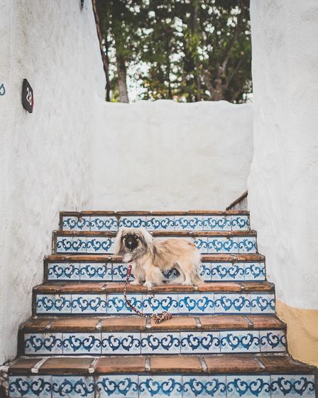 志摩地中海村11