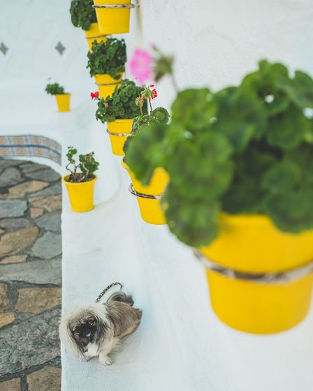 志摩地中海村10