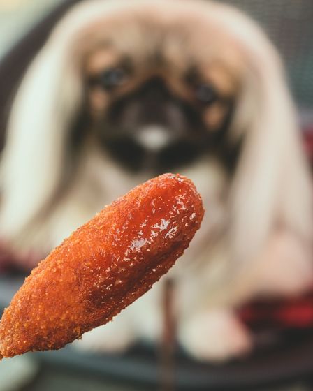 みやにしテツオ12