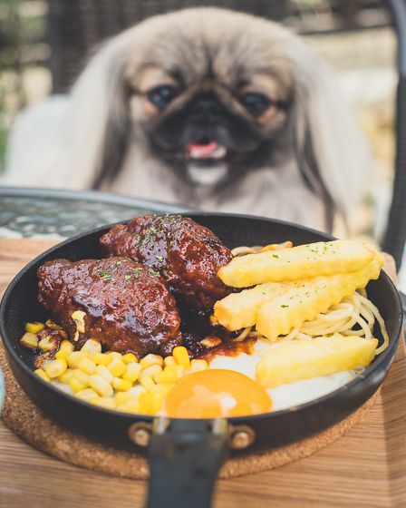 食堂カフェ 瀬里奈9