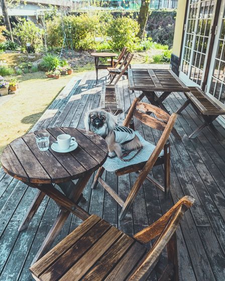 ギャラリー&カフェ梟4