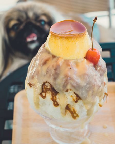 ヴァイスベーレン6