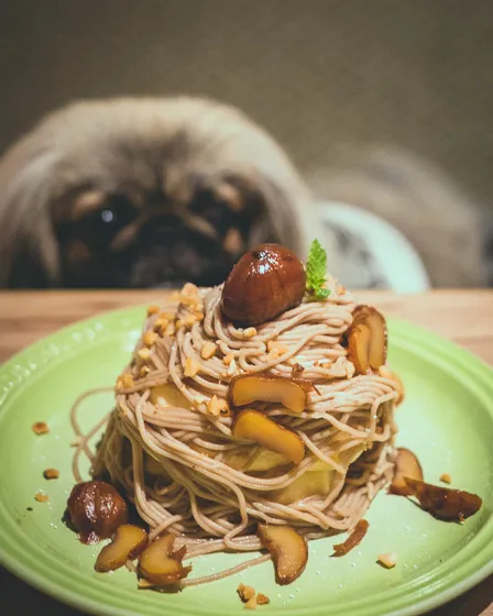 Rice cake & Harry① サーティワンアイスクリーム | グルメサーチ | 【公式】LECT（レクト