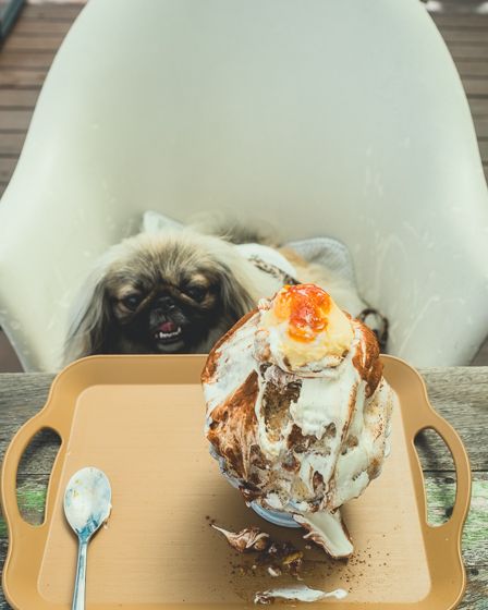 カフェ サラデリ7