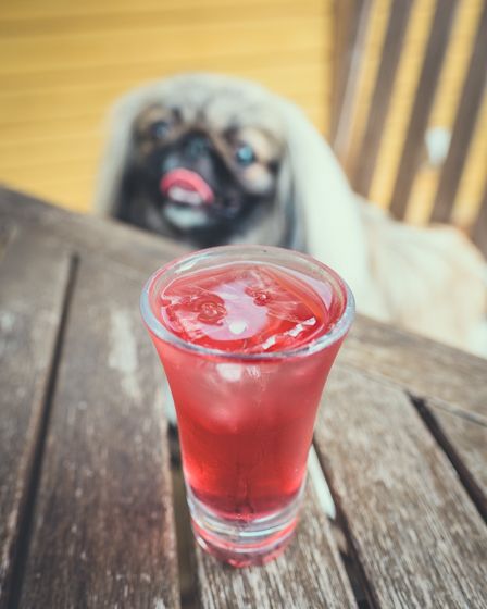 ハーブカフェYKガーデン8