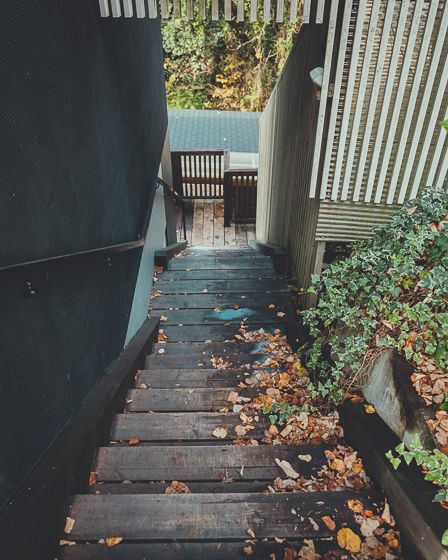 マッシュルームカフェ6