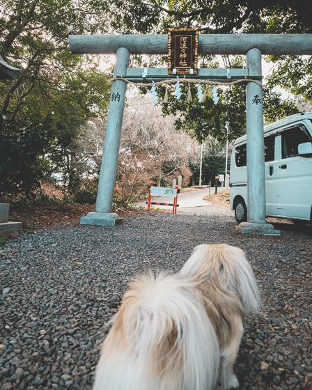 かっぽしテラス28