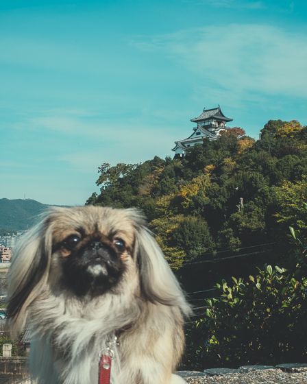 犬山城下町