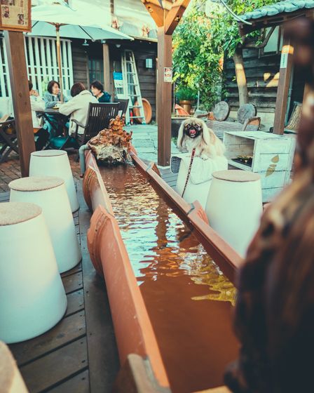 俺の金の焼き芋2