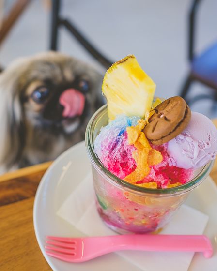 ウッドデザインパーク野間17