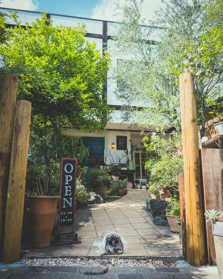 ハレルゥガーデン2