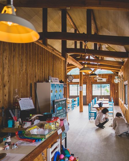 dog park SIG&GRACE16