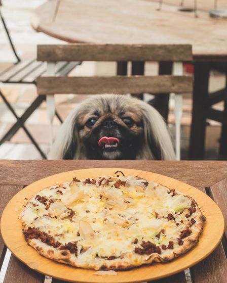 カフェ柚子木32