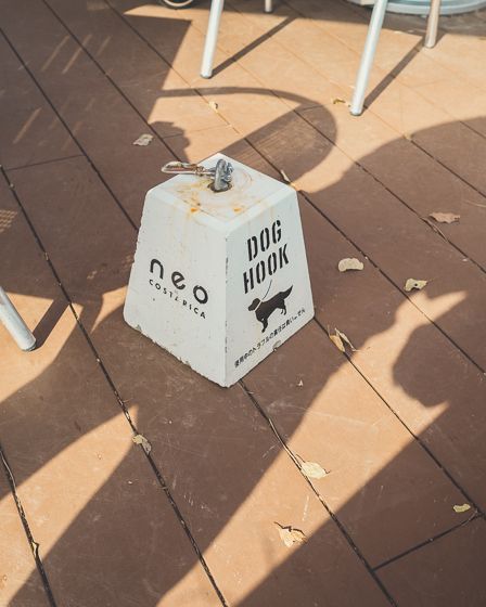 ネオこすたりか6