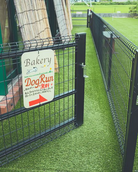 緑と風のダーシェンカ10