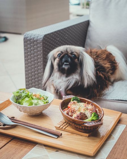 織部本店 テラスカフェ10