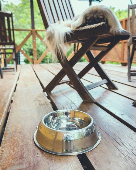 ハーブカフェYKガーデン7