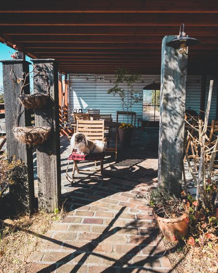 大石農場ハム工房6