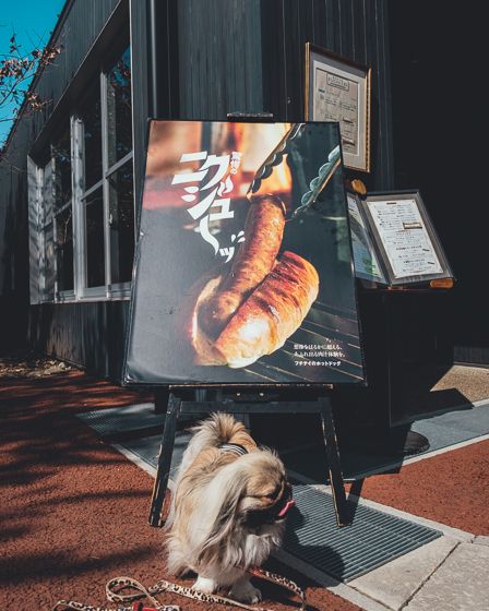 にぎわいの森12