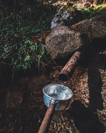 かしも愛犬村17