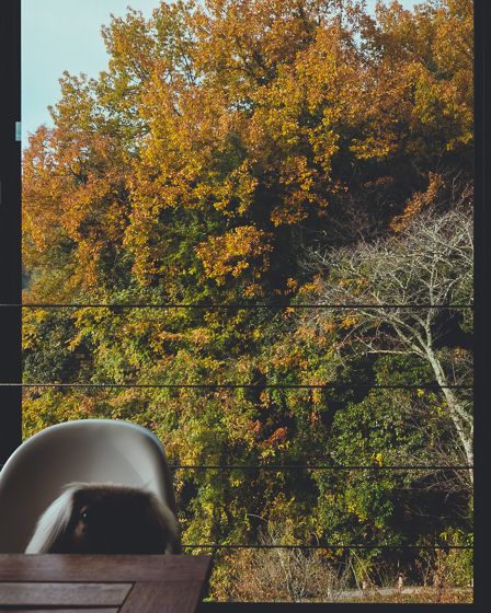 マッシュルームカフェ5