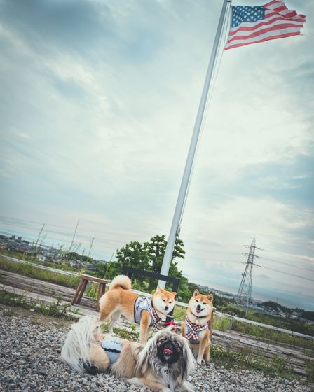 サンセットウォーカーヒル31