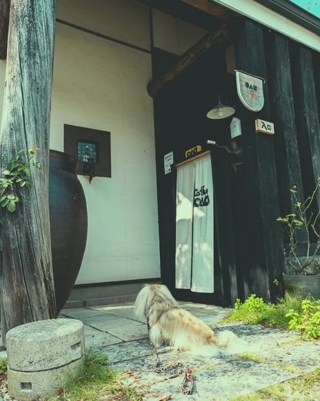 まるさんかくしかく18