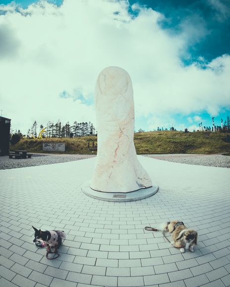 美ヶ原高原美術館10