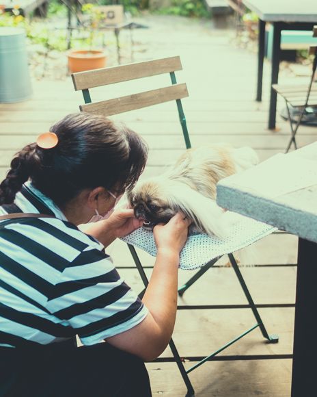 まるさんかくしかく1