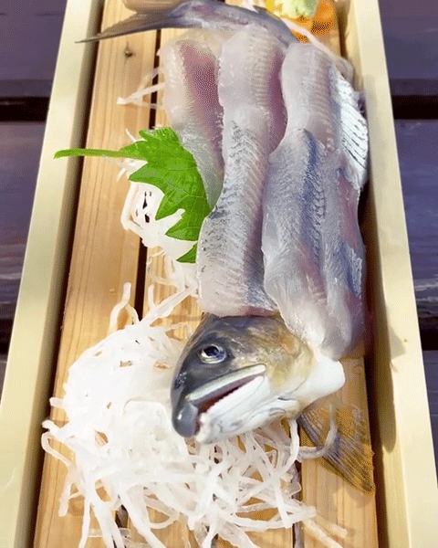 天然鮎みやちか14