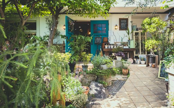 ハレルゥガーデン3