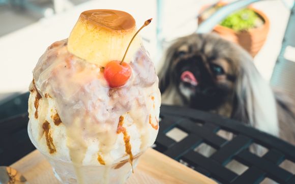 ヴァイスベーレン13