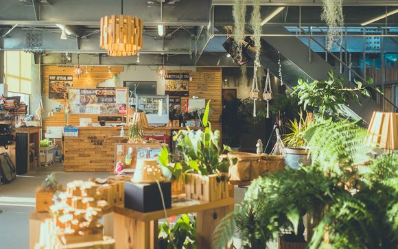 ウッドデザインパーク野間15