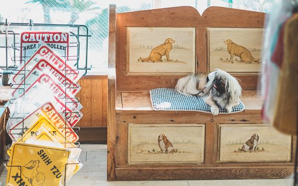 ラリーズカンパニー6